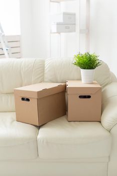 Boxes with things and a flower in the pot stand on the couch during the move of residents to a new apartment. The concept of home buying and the hassle of moving