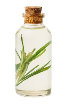 Essential oil in a small bottle with green leaf on white background, close up