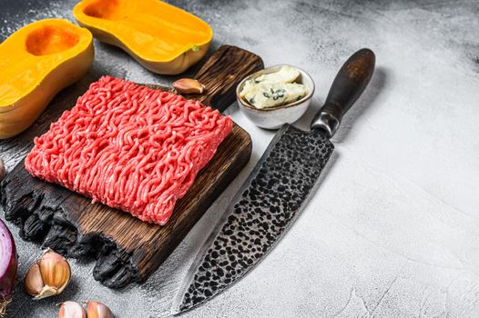 Raw mince meat, pumpkin with garlic and onion. White background. Top view. Copy space.