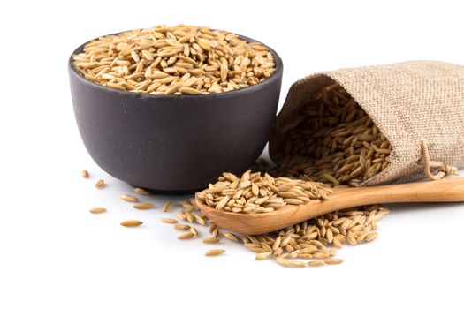 bowl of organic oat grains isolated on white background