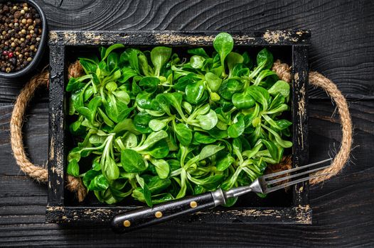 Fresh green lambs lettuce salad leaves on a wooden tray. Black wooden background. Top view.