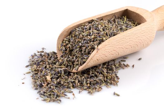 dried lavender organic tea in wooden scoop Isolated on white background