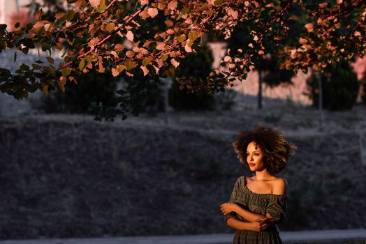 Young black woman with afro hairstyle standing in urban background. Mixed girl wearing casual clothes.