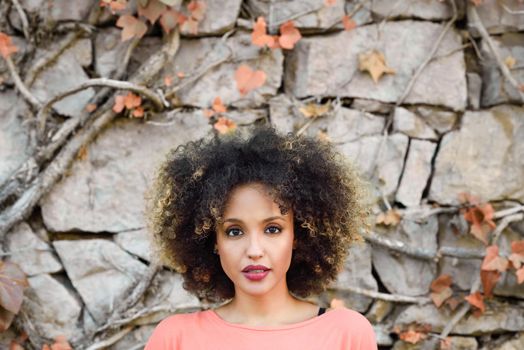 Mixed woman with afro hairstyle standing in an urban park