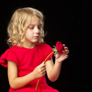 Beautiful girl sitting, tilting her head to the side, studio portrait of a cute child in a dress, a girl with long hair holding a red rose. Isolated over black background.