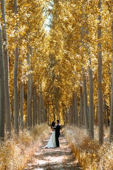 Just married couple together in poplar background