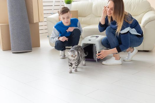 Slim young mother and little son launch their beautiful gray Scottish Fold cat into their new apartment in the living room. The concept of tradition with housewarming