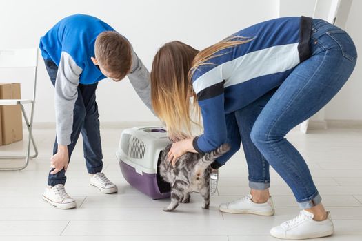 Slim young mother and little son launch their beautiful gray Scottish Fold cat into their new apartment in the living room. The concept of tradition with housewarming