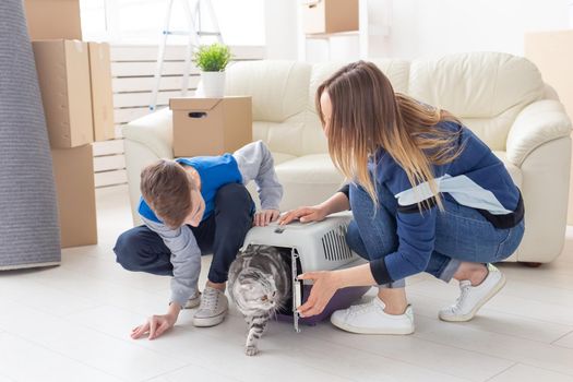 Slim young mother and little son launch their beautiful gray Scottish Fold cat into their new apartment in the living room. The concept of tradition with housewarming