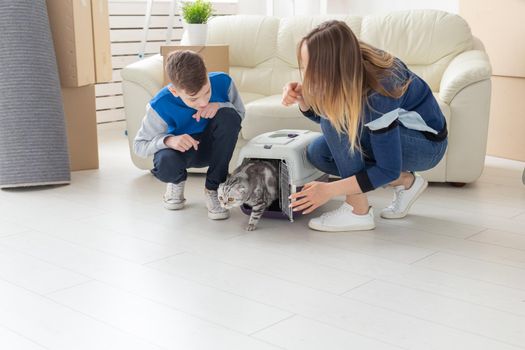 Slim young mother and little son launch their beautiful gray Scottish Fold cat into their new apartment in the living room. The concept of tradition with housewarming