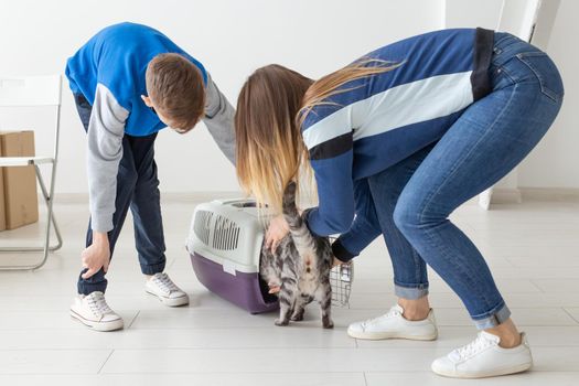 Slim young mother and little son launch their beautiful gray Scottish Fold cat into their new apartment in the living room. The concept of tradition with housewarming