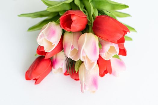 Still life with colorful tulips.