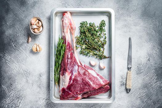 Uncooked Raw goat or lamb leg with herbs in baking tray. White background. Top view.