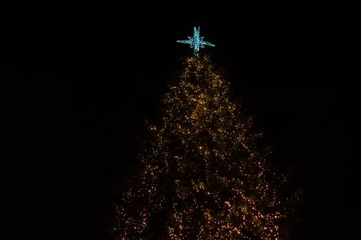 LVIV, UKRAINE - 27 December 2020: New Year and Christmas tree in the European city of Lviv at night/