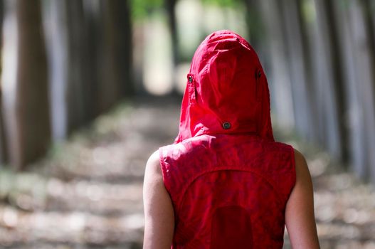 Women dressed in red walking in the forest