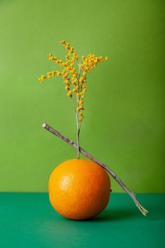 Creative composition of orange with blooming plant and stick balancing against green background