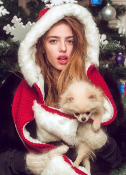 New year of dog, girl hold puppy. Christmas woman with pretty face and pet. santa claus girl with pet at tree.