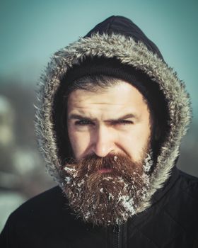 Close up face of winter man with snowy long beard. Winter holiday and vacation.