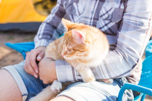 People, tourism and nature concept - Man holding cat on nature.