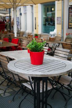 Cute little pot plant on outdoor table cafe