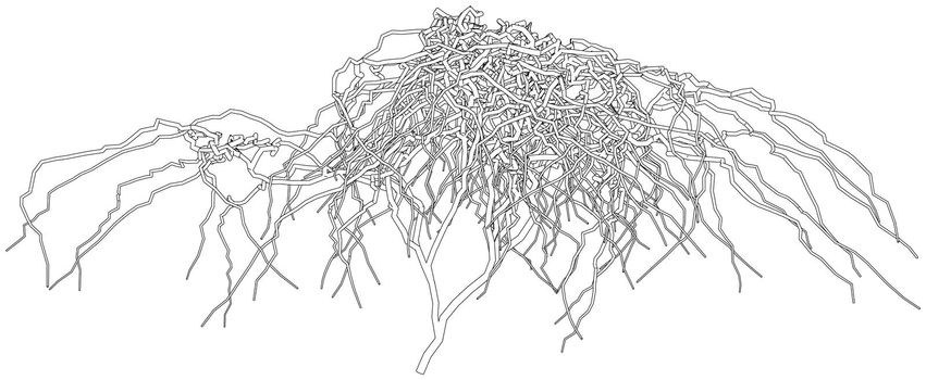 Outline a dried shrub without leaves. 3d illustration