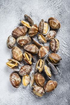 Fresh Steamed Clams on the kitchen table. White background. Top view.