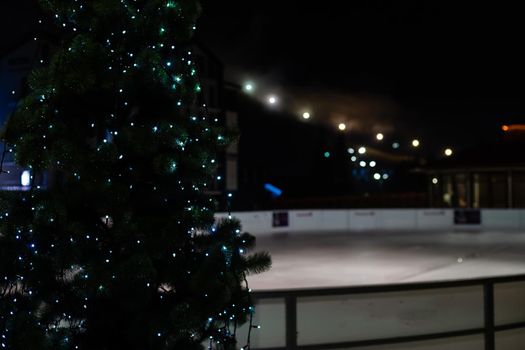 Night View of Ice Rink and christmas tree.