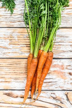 Bunch of fresh carrots with green leaves. White background. Top view.