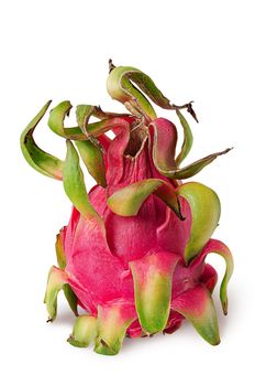 Dragon fruit vertically isolated on white background