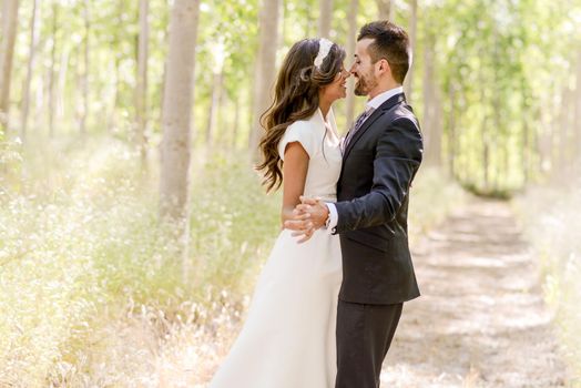 Just married couple together in poplar background