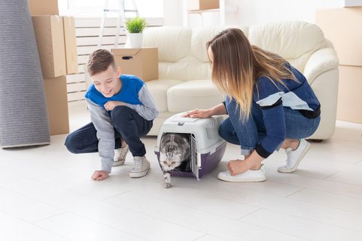 Slim young mother and little son launch their beautiful gray Scottish Fold cat into their new apartment in the living room. The concept of tradition with housewarming