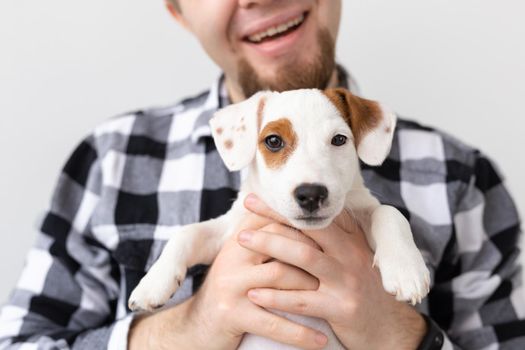 people, pets and animals concept - close up of young man holding jack russell terrier puppy on white background.