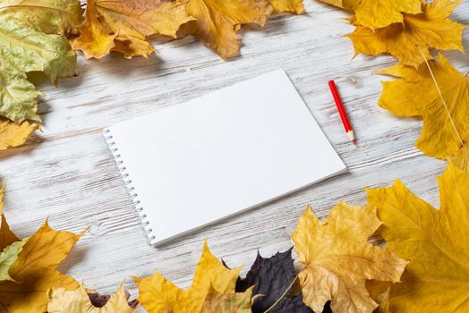 Spiral sketchbook and pen lies on vintage wooden desk with bright foliage. Flat lay with autumn leaves on white wooden surface. Blank notepad for drawing with copy space. Creative space and artwork.
