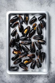 Raw blue mussels shells in kitchen steel tray. White background. Top view.