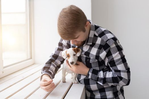 people, pets and animals concept - young man hugging jack russell terrier puppy near window on white background.