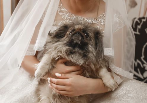 Bride in wedding dress holds a small dog close-up.