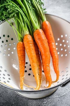 Washed fresh carrots in a colander. Gray background. Top view.