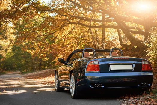 A black roofless car driving fast on the countryside asphalt road against morning sky with a beautiful sunrise. Autumn season, falling leaves