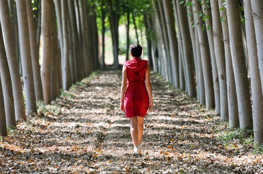 Women dressed in red walking in the forest