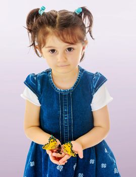 Adorable little girl with short pigtails on her head, holding a large butterfly, close-up.Not a purple gradient background.