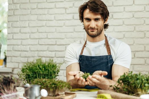 Attractive bearded man farmer taking care of sprouts of microgreens at his place