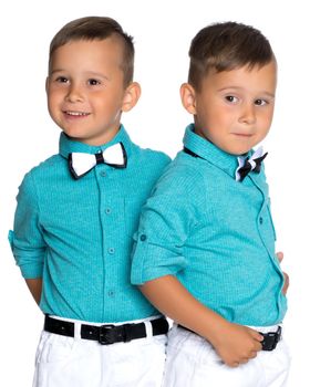 Two cute little boys, brothers close-up. The concept of a happy childhood, the development of a child in the family. Isolated on white background.