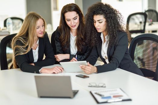 Three businesswomen working together in a modern office with white furniture. Teamwork concept. Caucasian, blonde, and muslim girls wearing suit. Multi-ethnic group of women