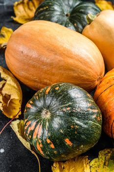 Diverse assortment of pumpkins on a table. Black background. Top view.