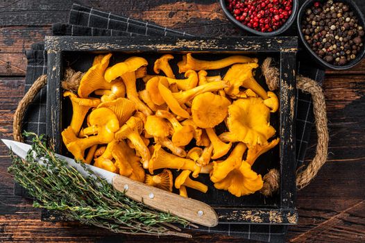 Harvested Raw Chanterelles mushrooms in a rustic tray. Dark Wooden background. Top view.