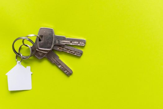 Macro view of two silver keys with house figure on the light green background