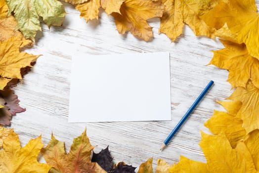 White paper sheet and pencil lies on vintage wooden desk with bright foliage. Flat lay composition with autumn leaves on white wooden surface. Blank notepaper with copy space for design.