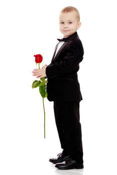 Little boy in black suit with bow tie gives a big red rose charming little girl.Isolated on white background.