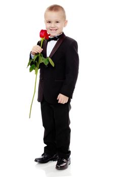 Beautiful little boy in a strict black suit , white shirt and tie.Boy holding a flower of a red rose on a long stem.Isolated on white background.