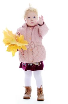 Charming girl in autumn clothing with a bouquet of yellow maple leaves.Isolated on white background.
